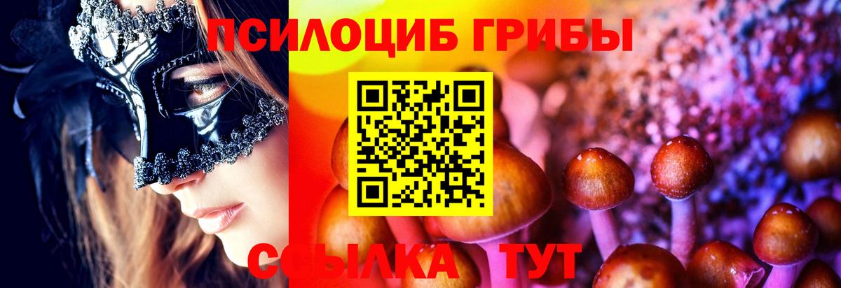 Псилоцибиновые грибы Magic Shrooms Владимир